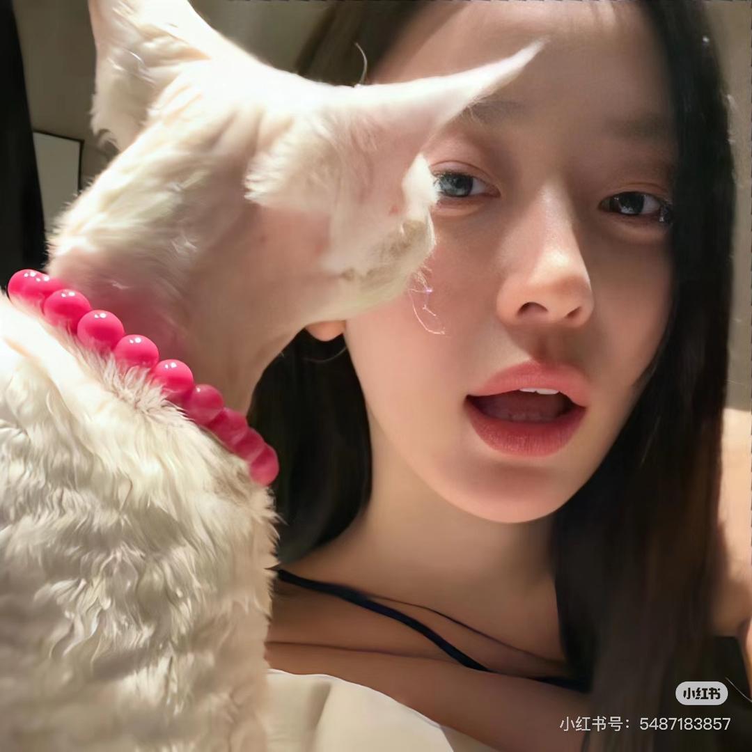 TT的家