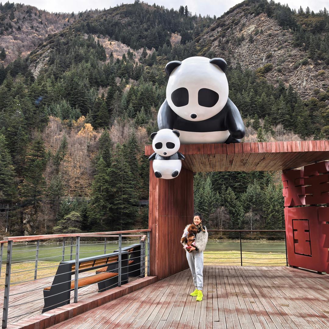 2⃣️妹💗养了只钱多多