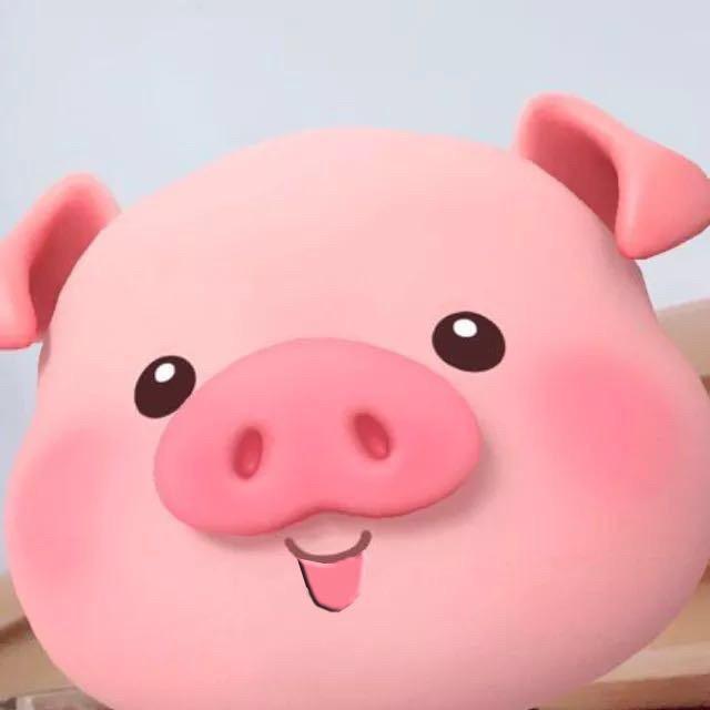 爱唱歌的二师兄