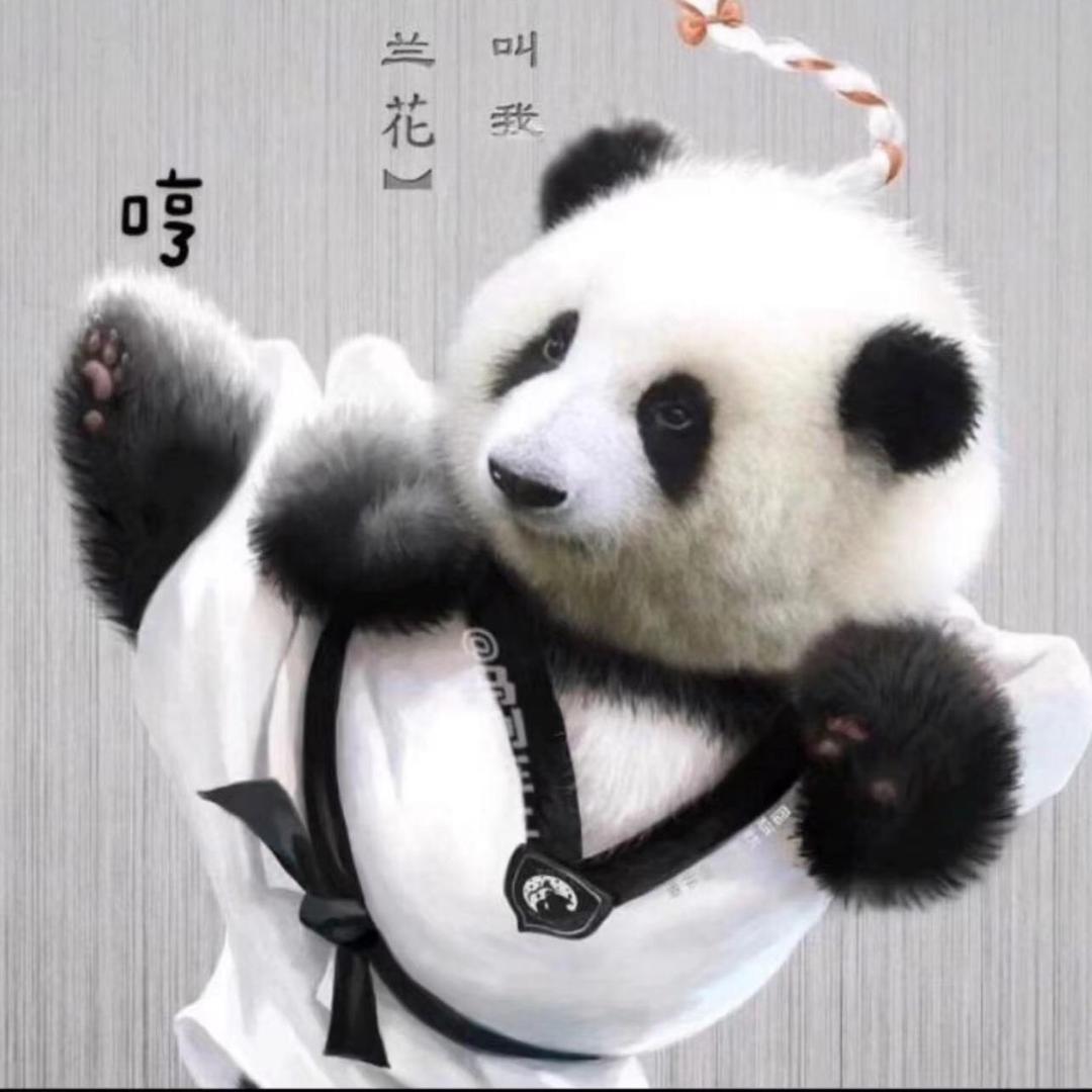 诸葛小钢铁