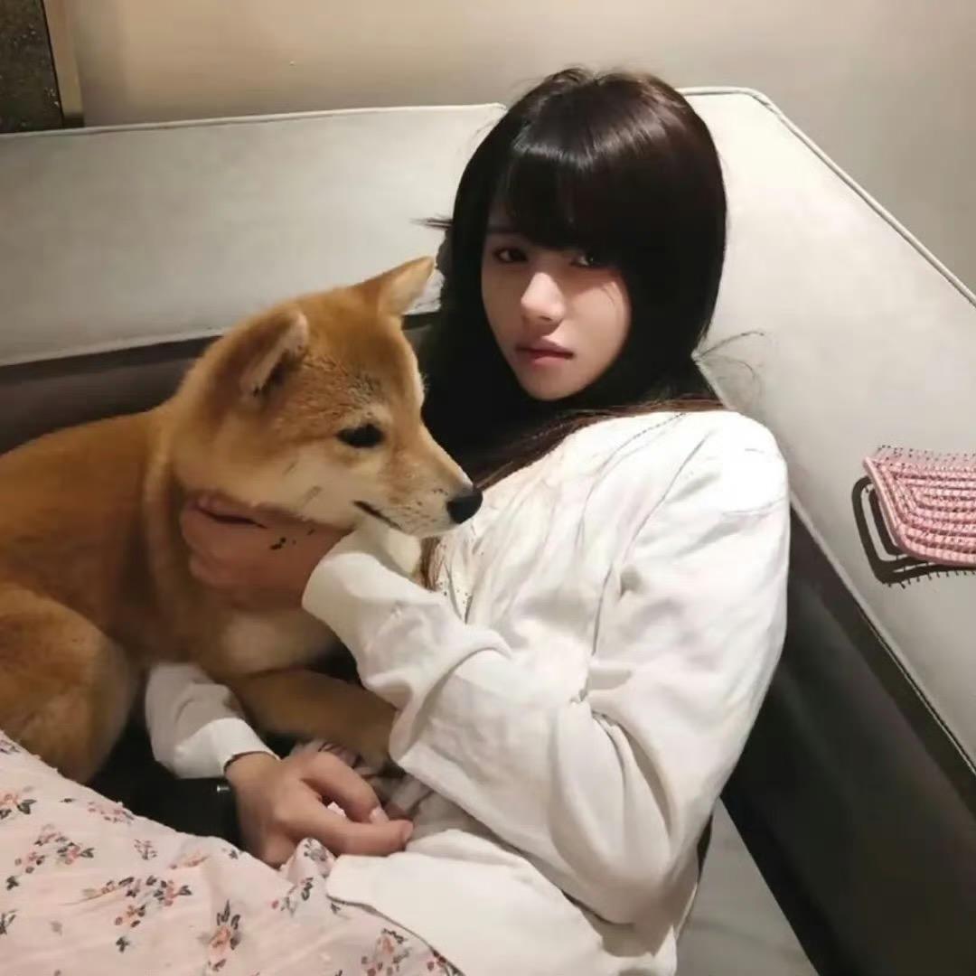 尔