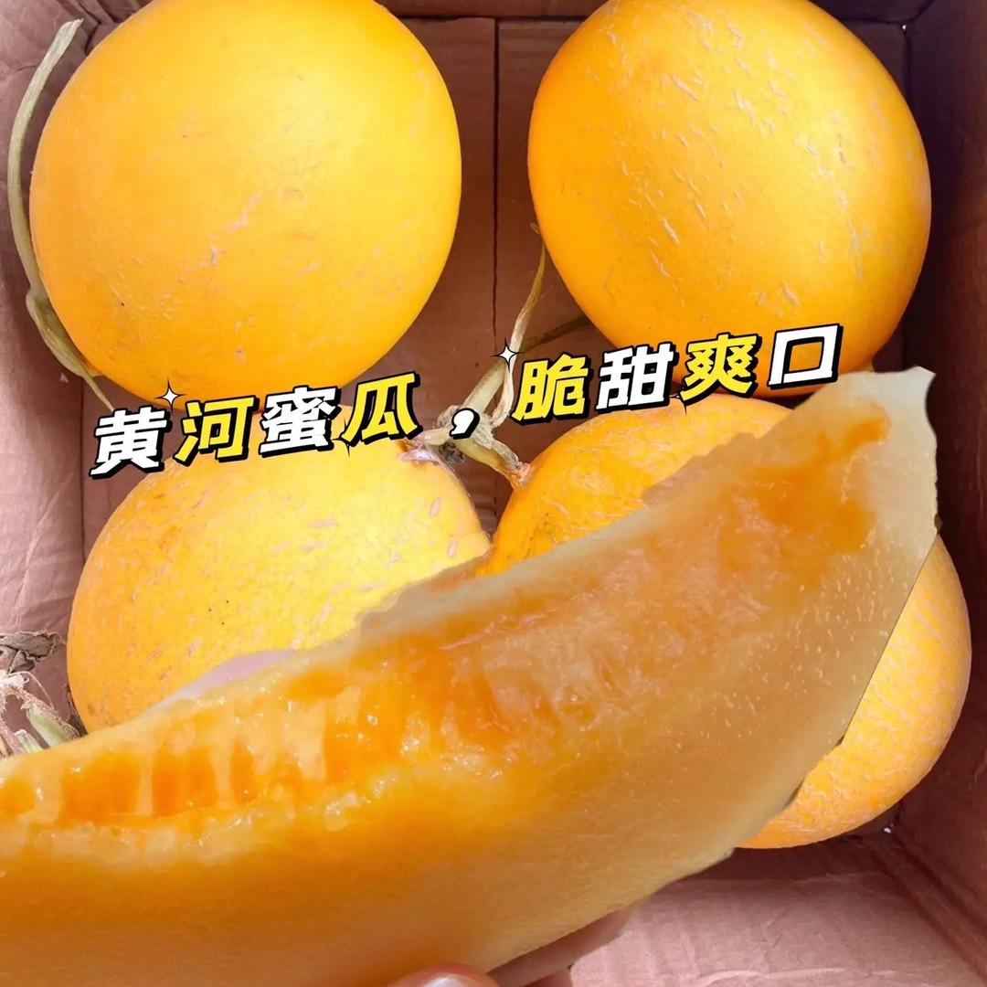 小杨的果园