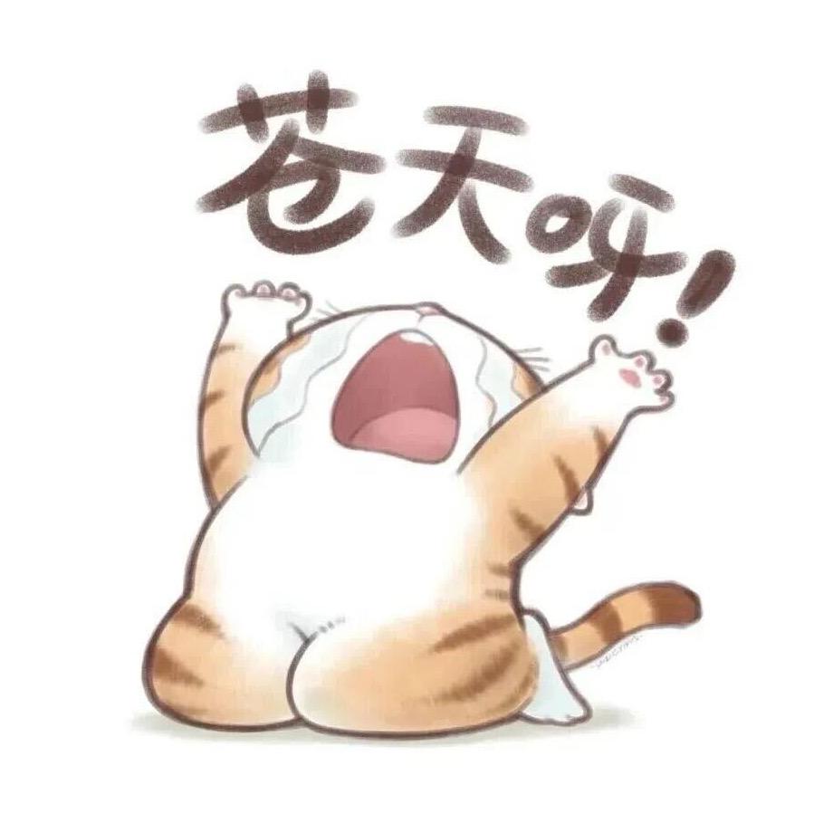 小刘买了啥