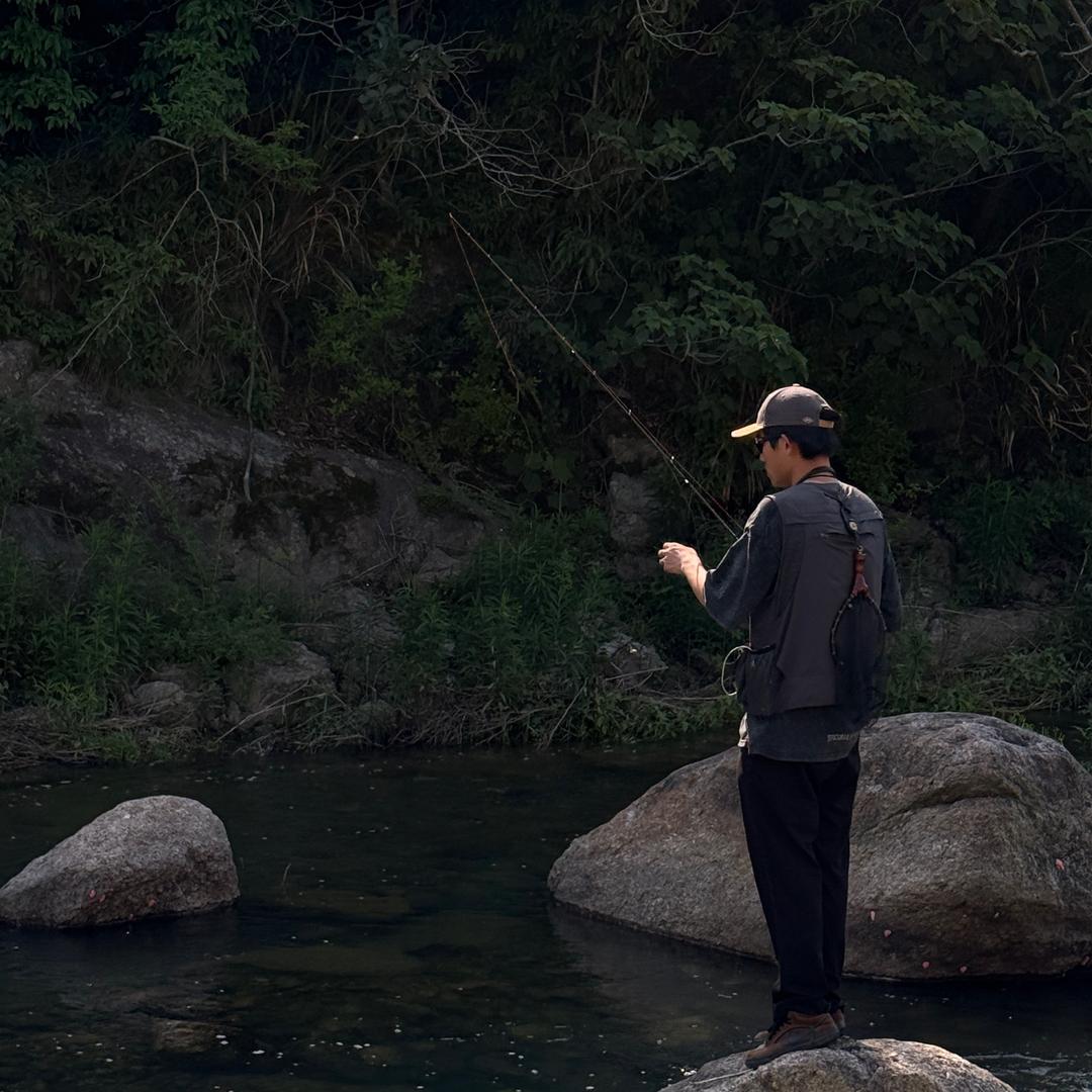 🌈小张大力刺鱼🌈