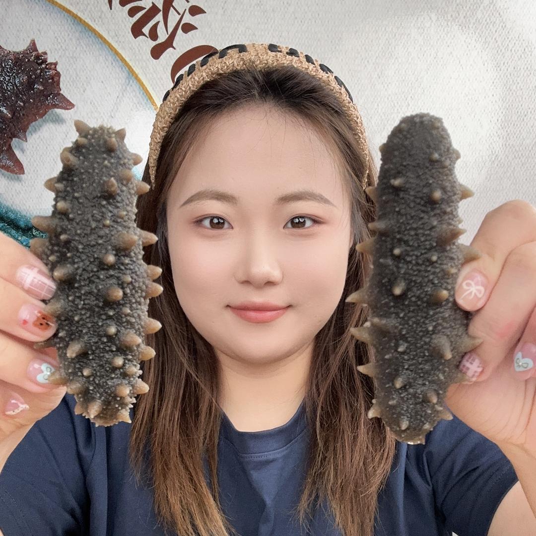 小圆海参