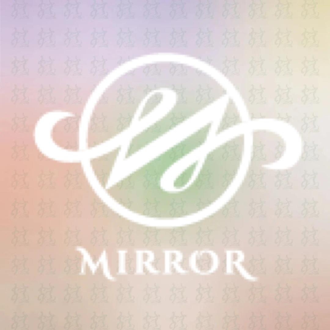 Mirror 镜面皮肤管理（新兴店）