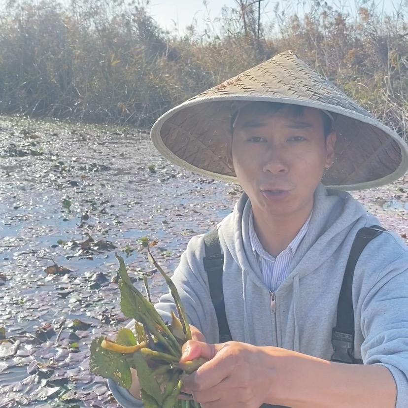 西乡人(农品精选)