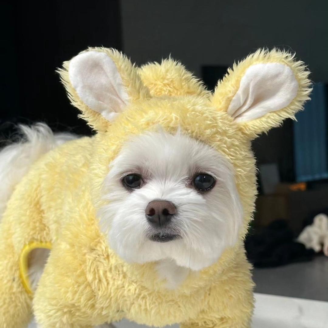 2咦咦