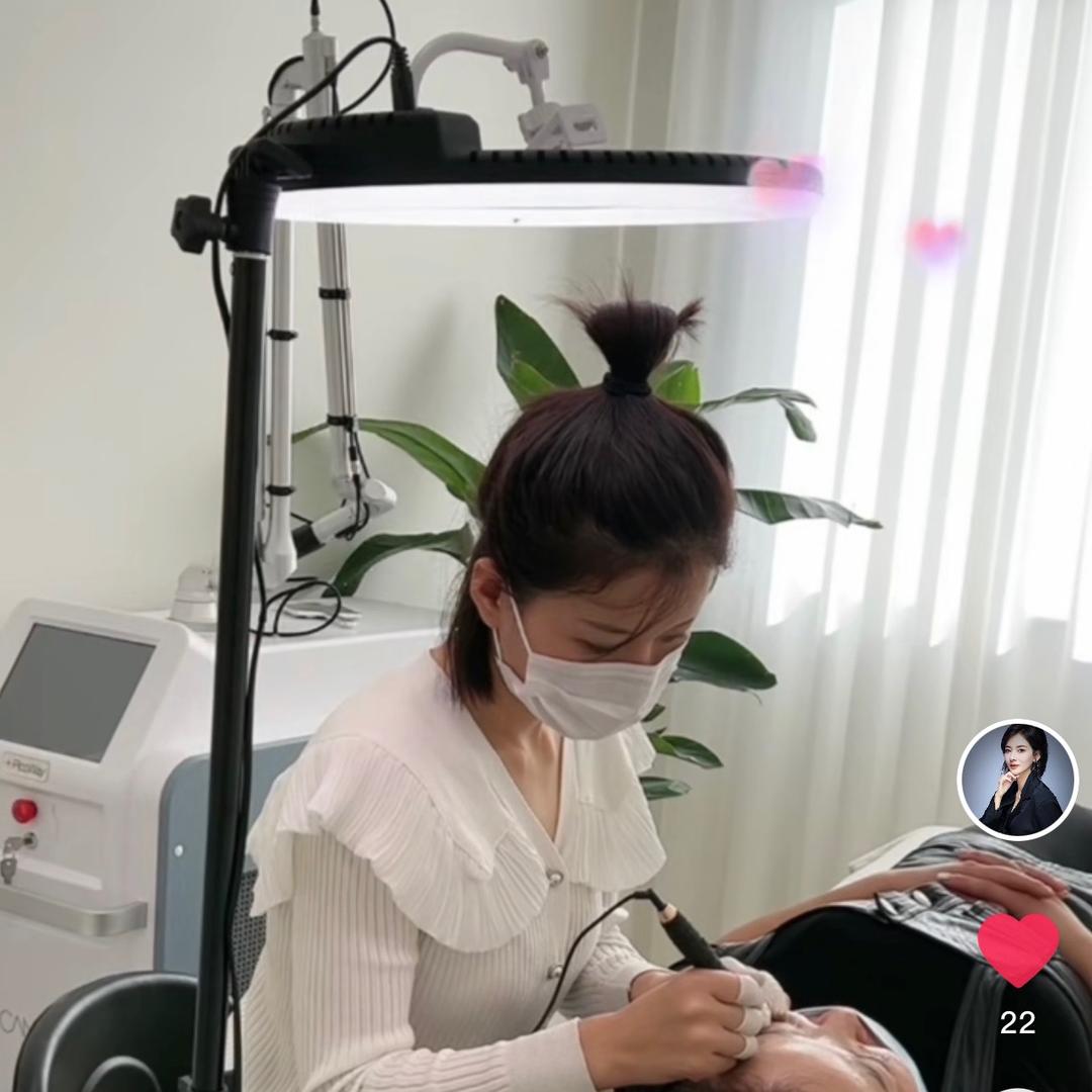 森迪美学