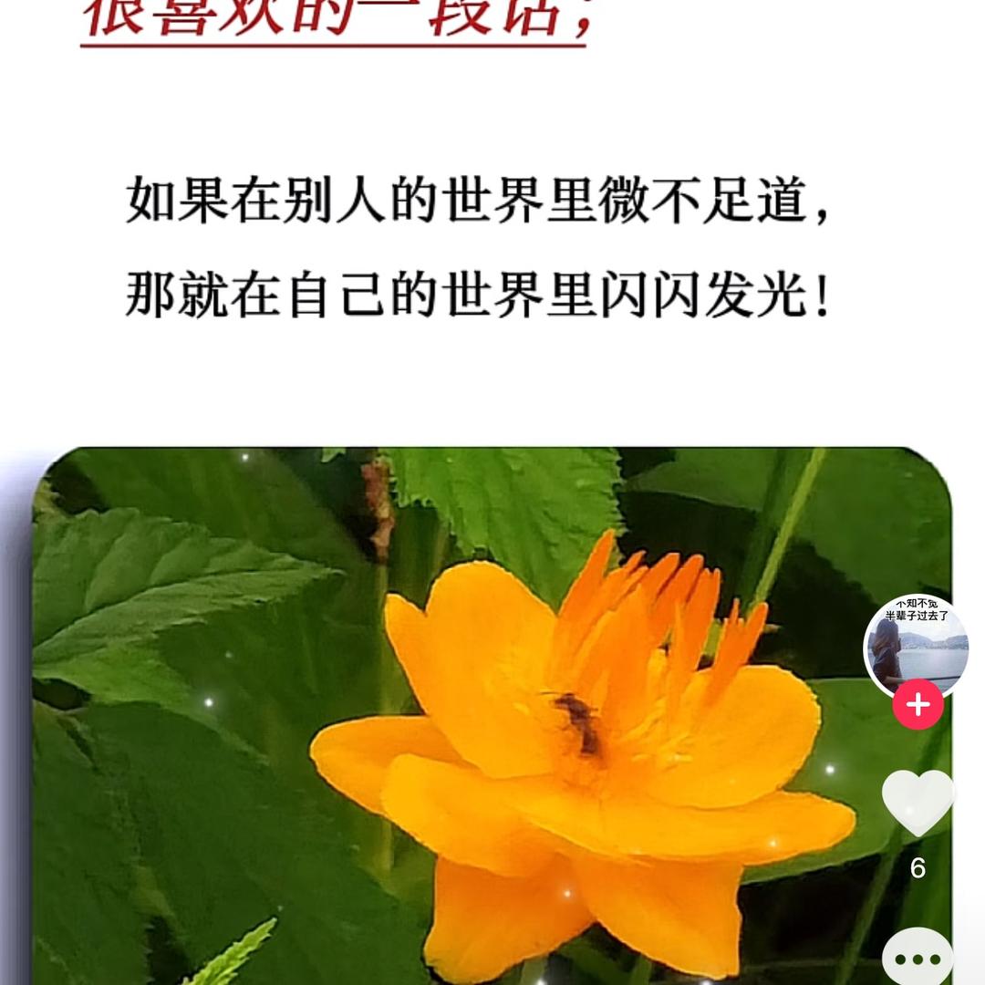 仙桃市玖奈美容店