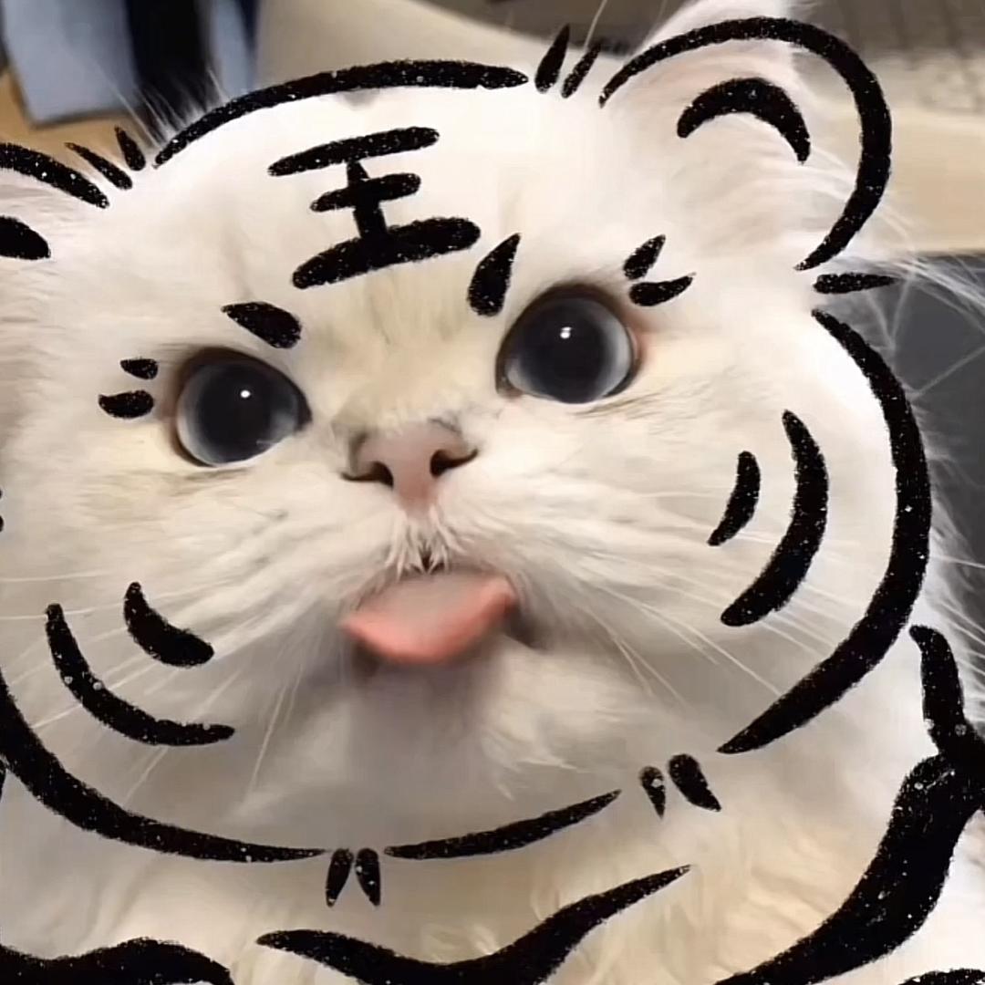 二虎宝宝