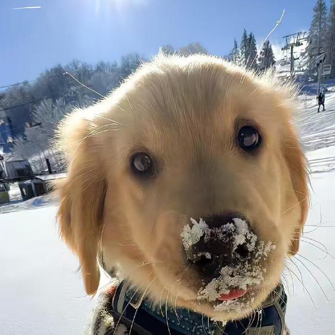 hiiiiiiiii