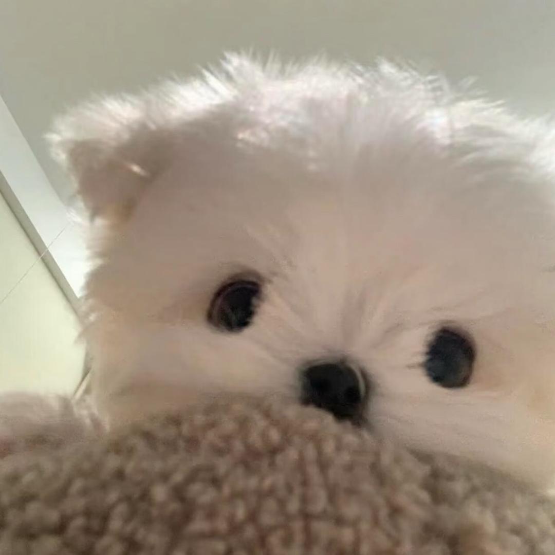 我是芋圆圆圆