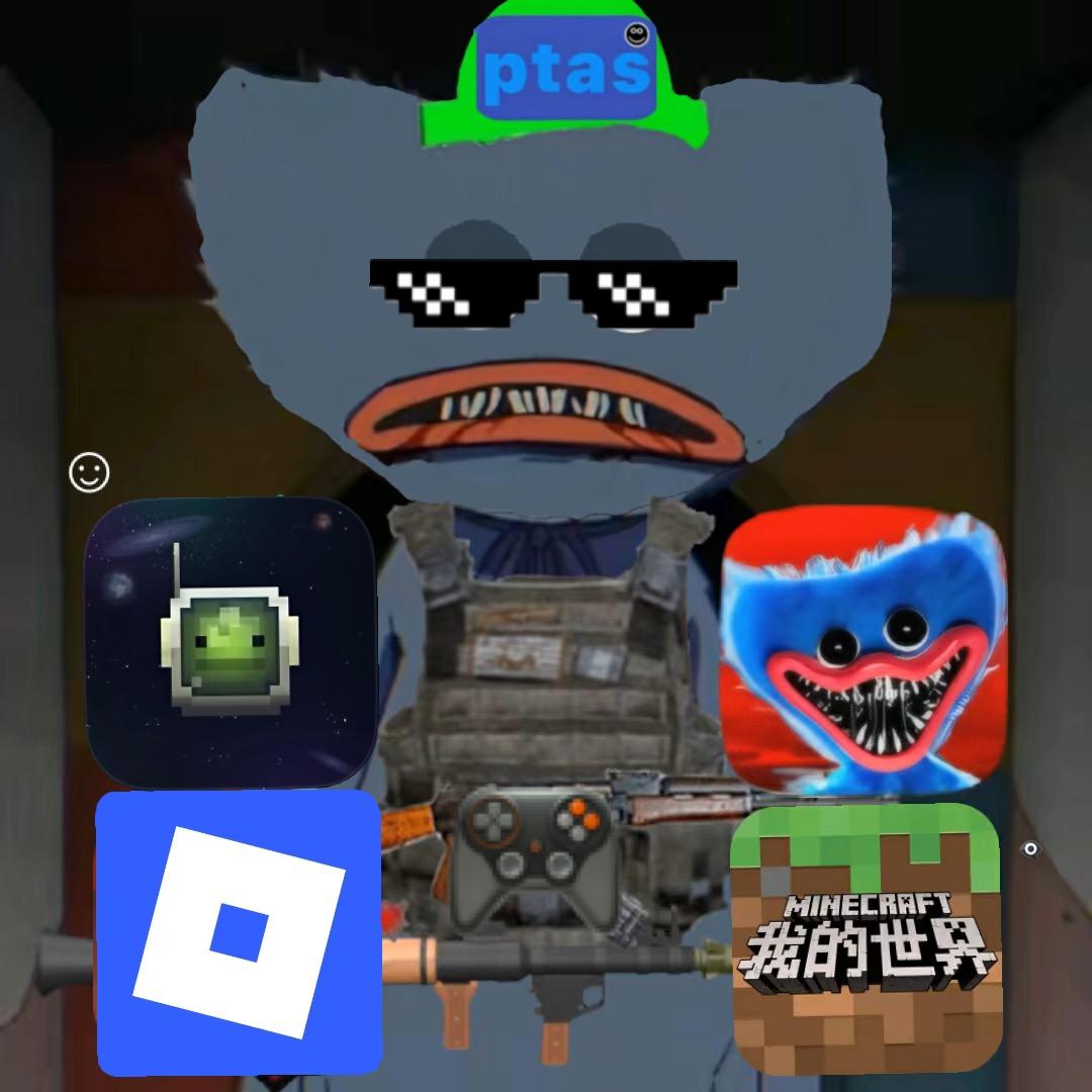 爱玩游戏的哈吉®