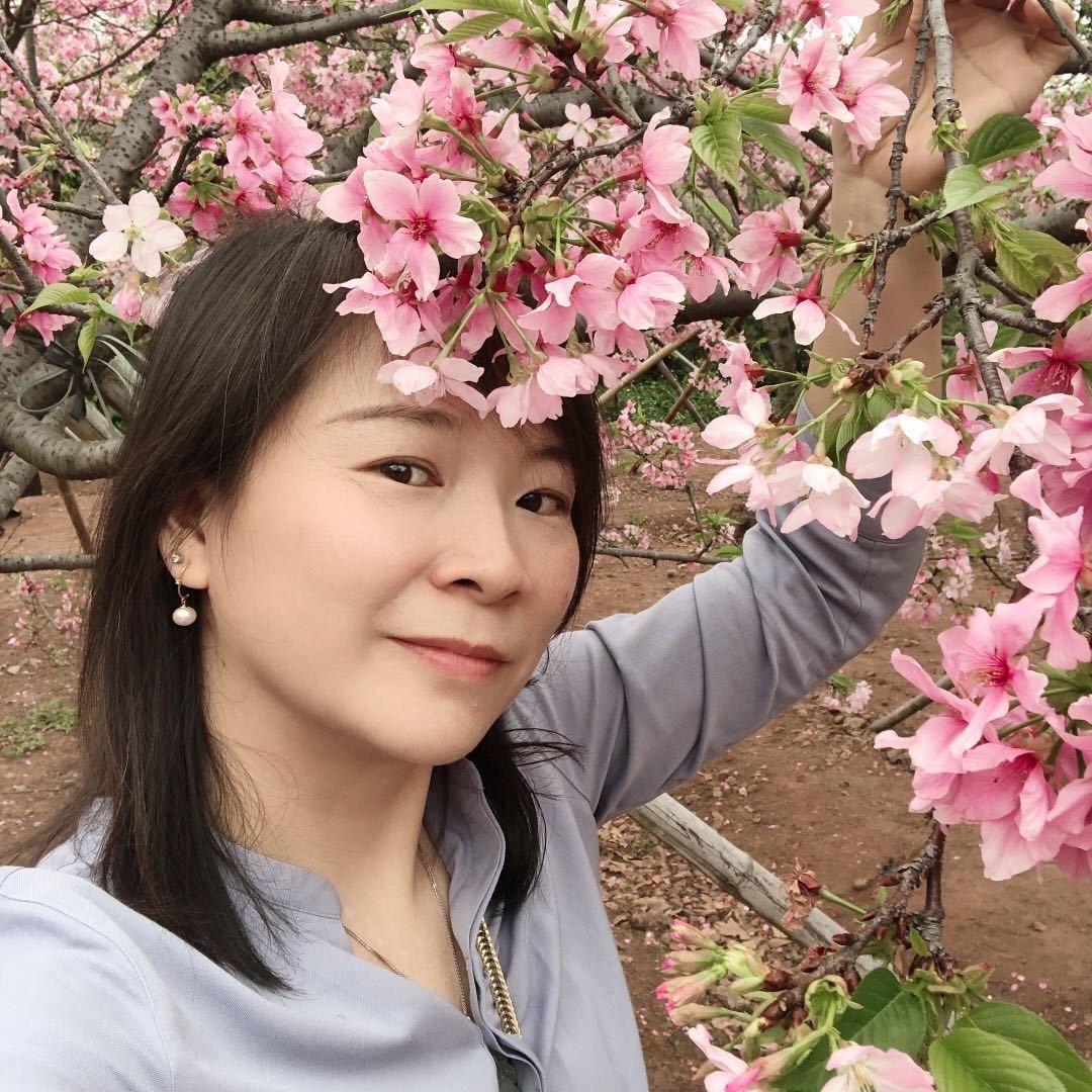 枝枝不倦