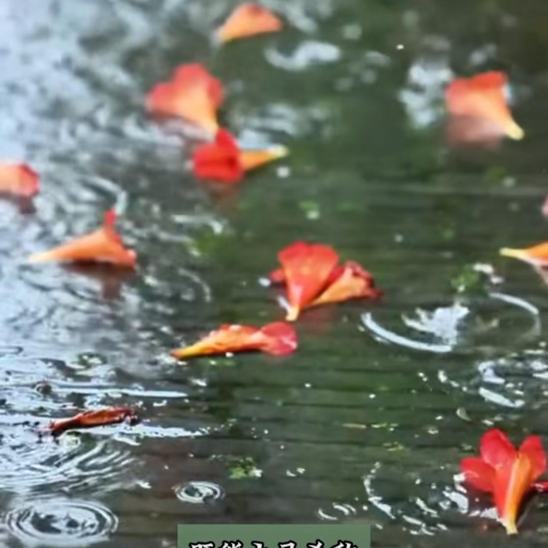 财源广进
