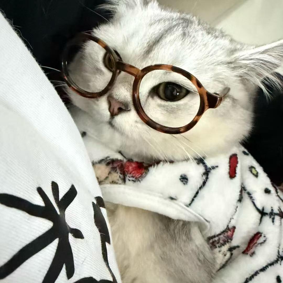 下了班爱吃绝味鸭脖