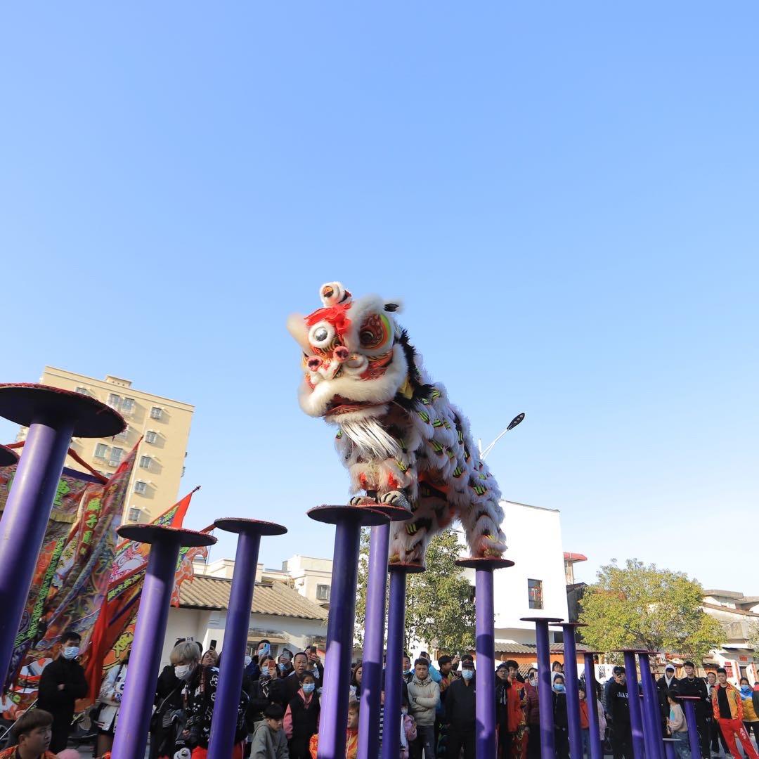 梅隴展麟堂龙獅團