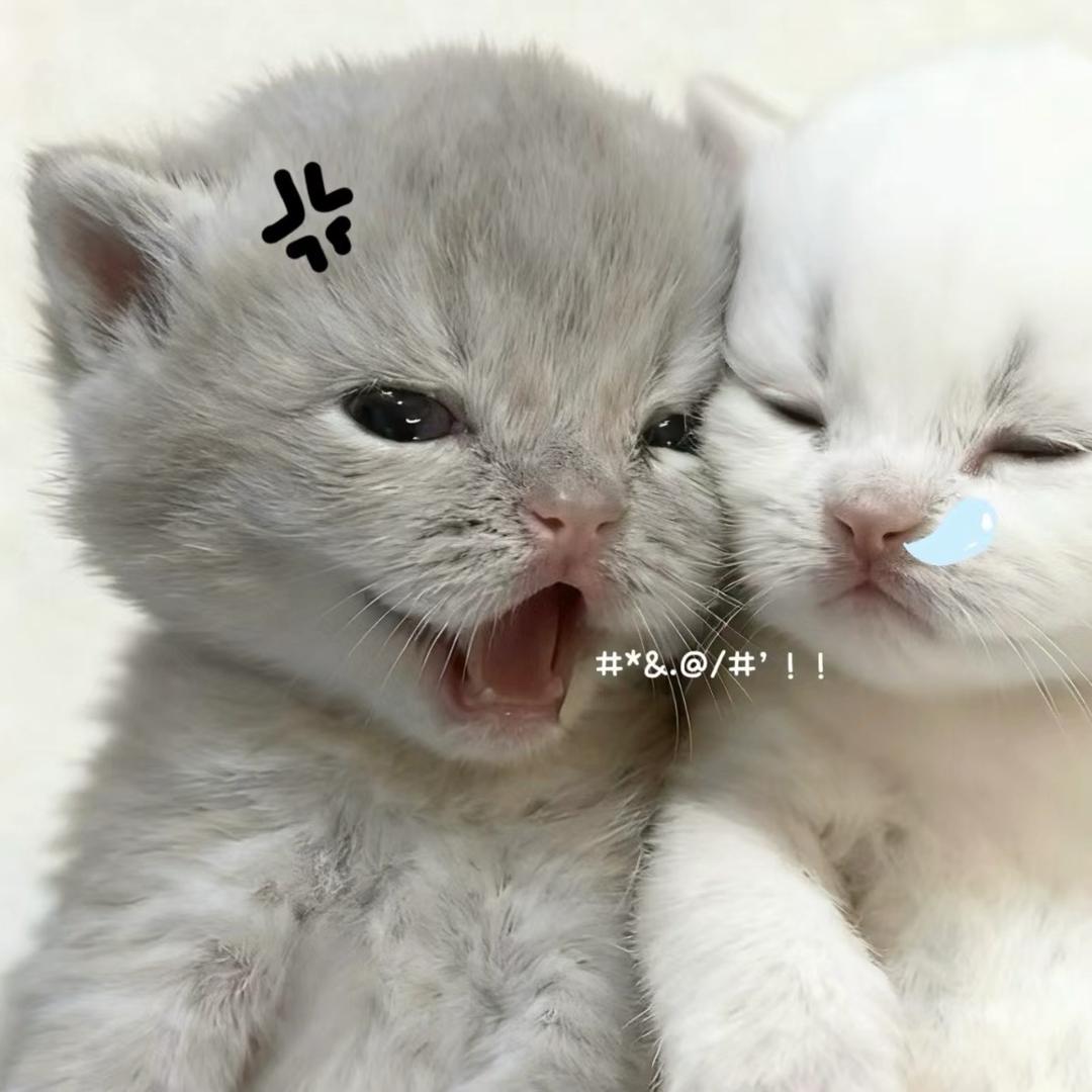 NIEYNL