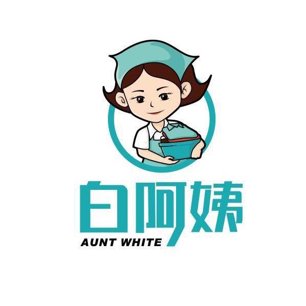 白阿姨洗护