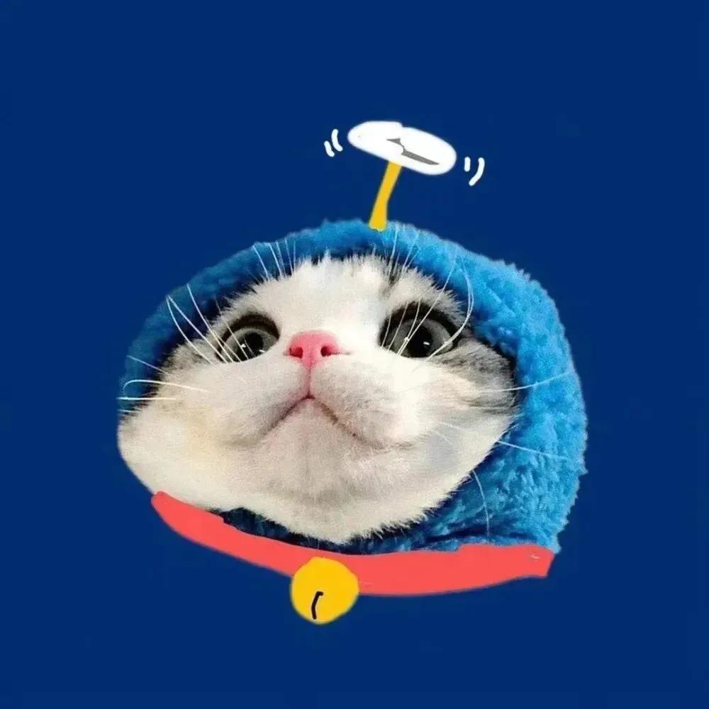 吃瓜易界