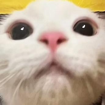季禾
