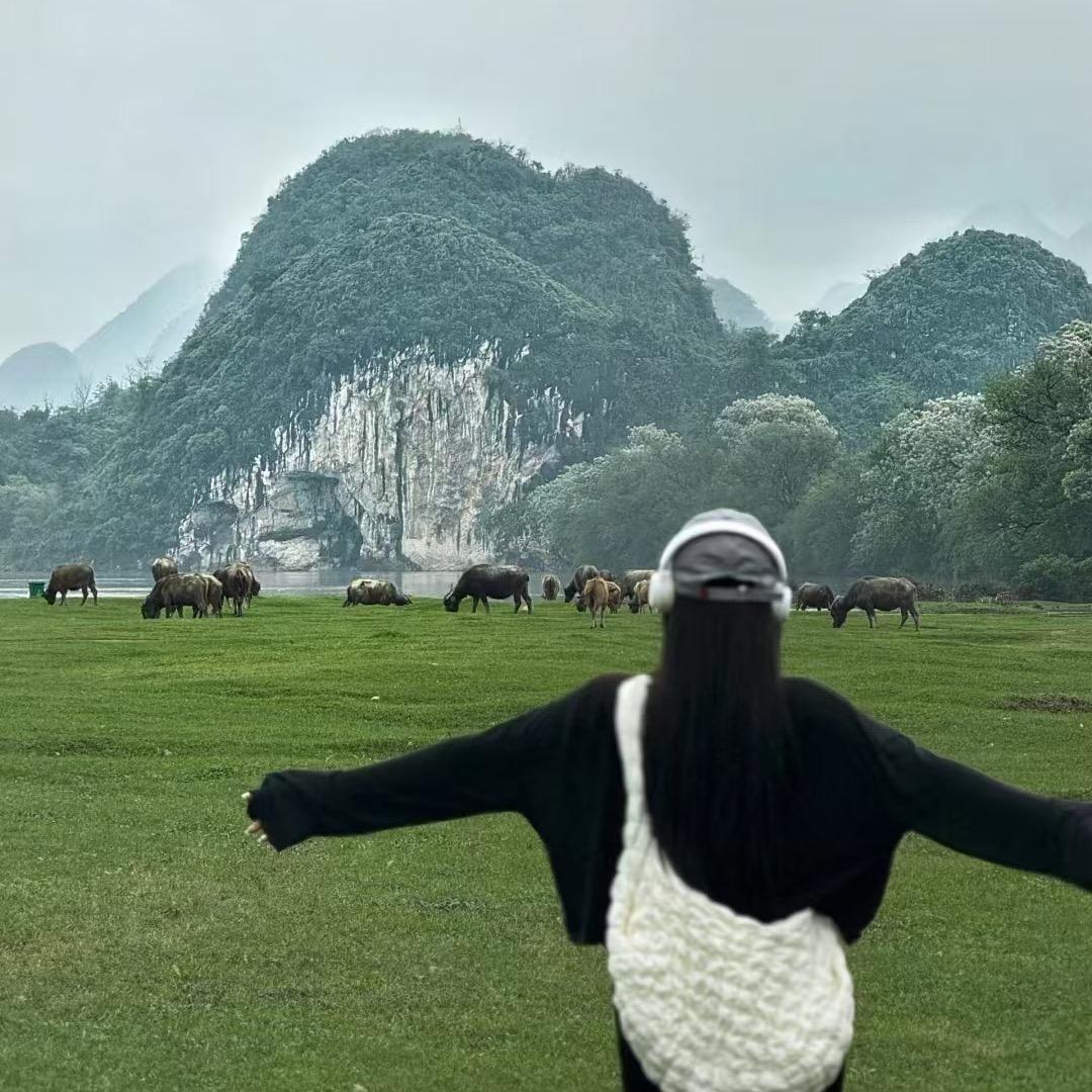 🤡大🐻脸脸🤡