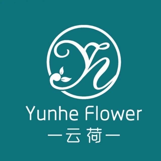 云荷进口花