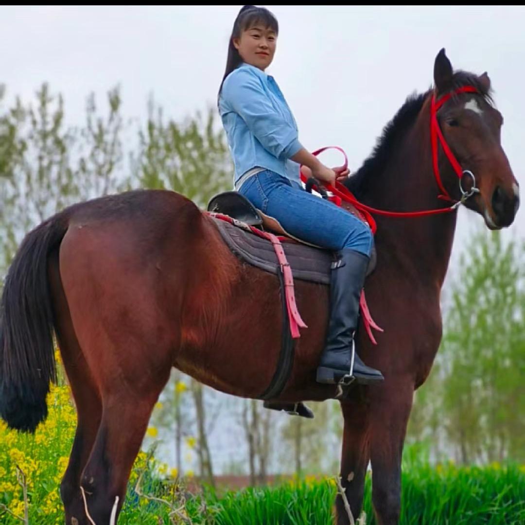 龙小六🐎