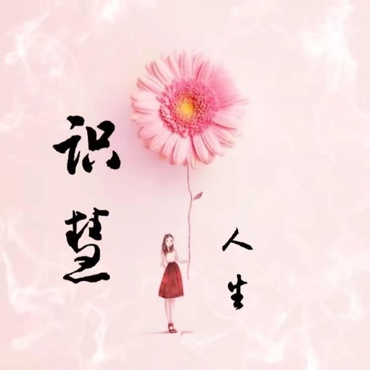 识慧人生