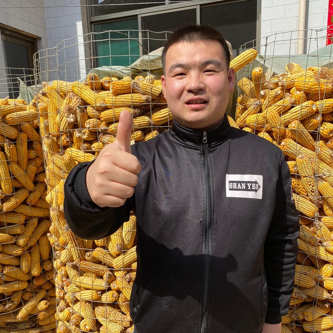 农村小伙 彬彬