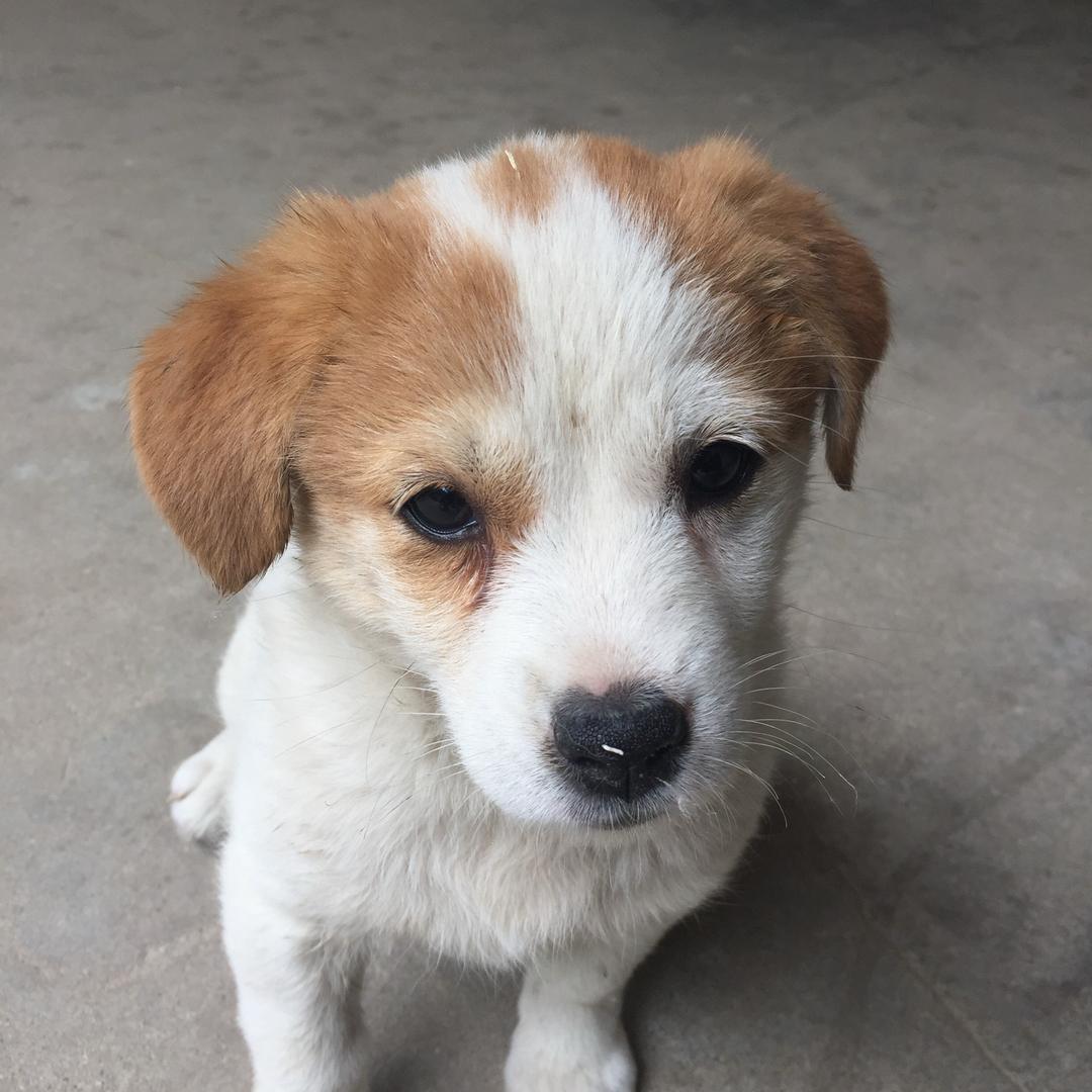 小东的断码鞋批发日记