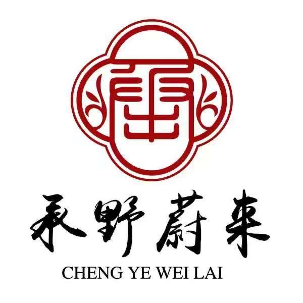 承野蔚来书画院云起