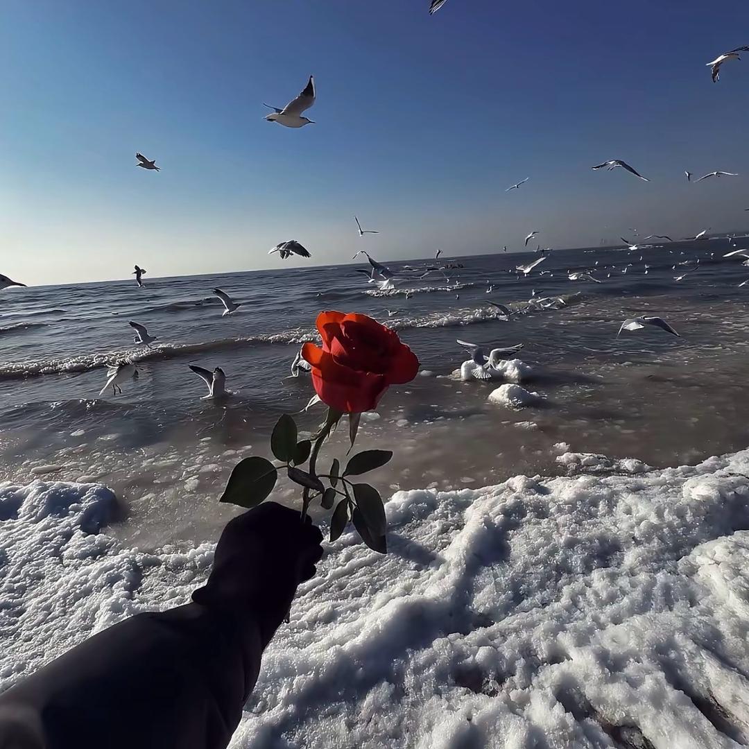 🌈🌈🌈🌈🐾巨兔