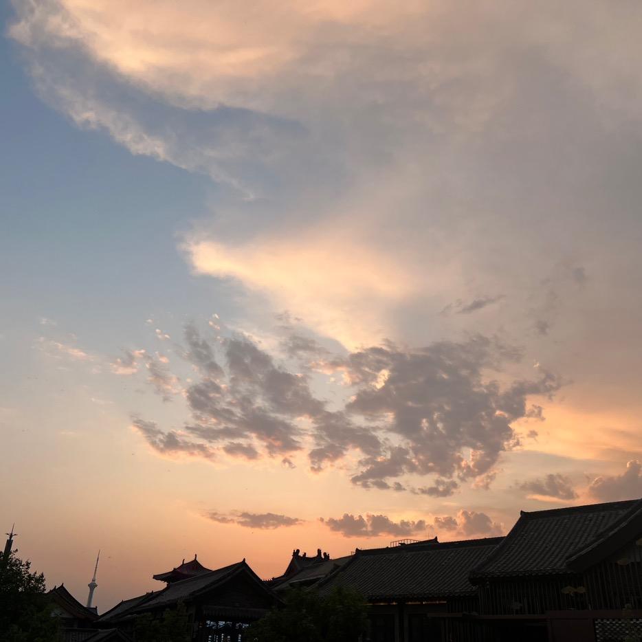 带你找工作（王维涛）