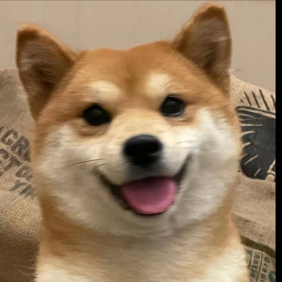 七天