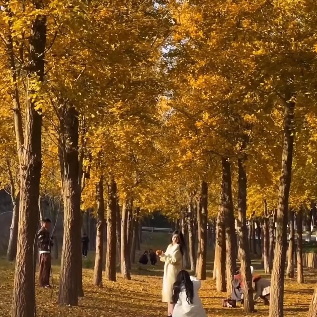 小师妹