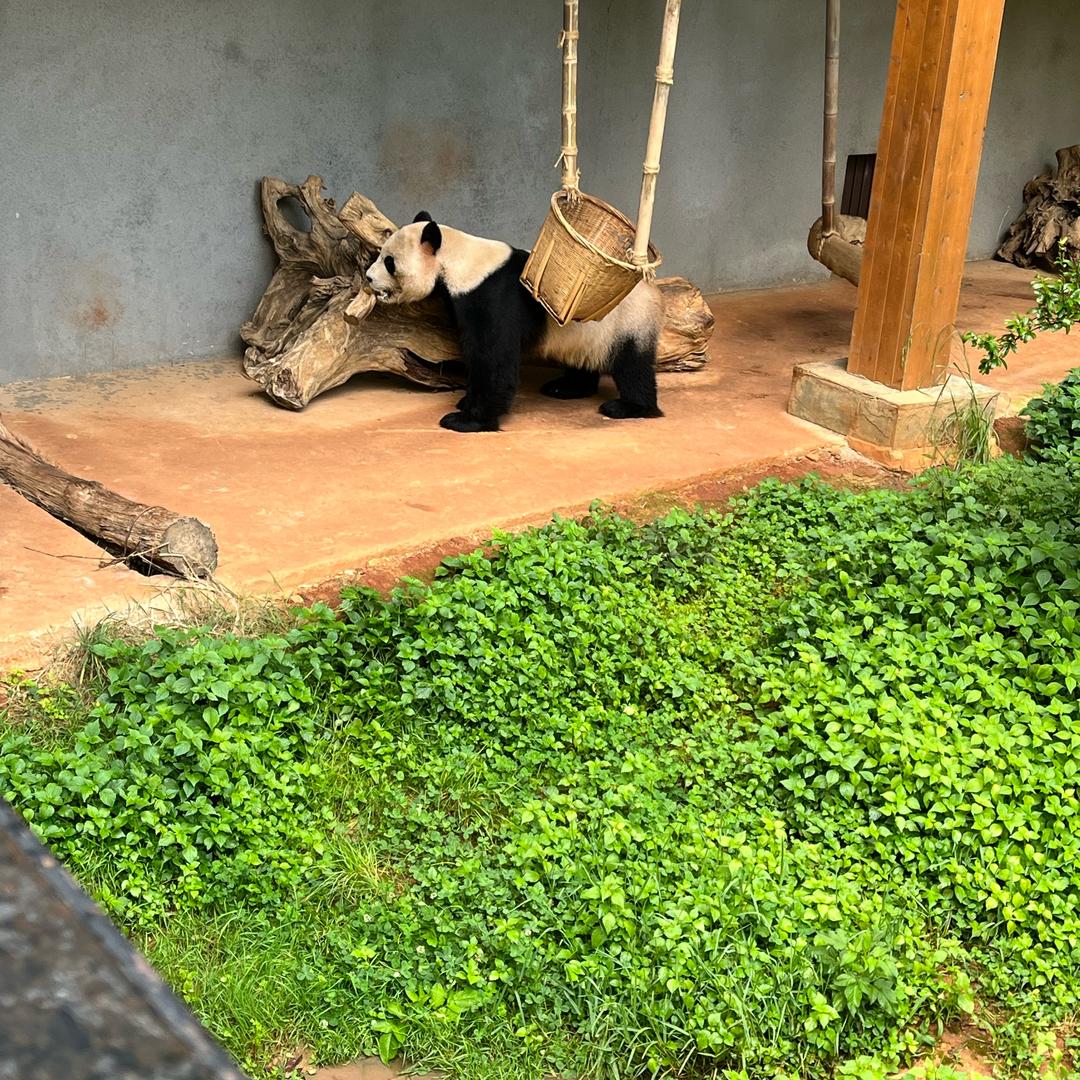 小玉儿
