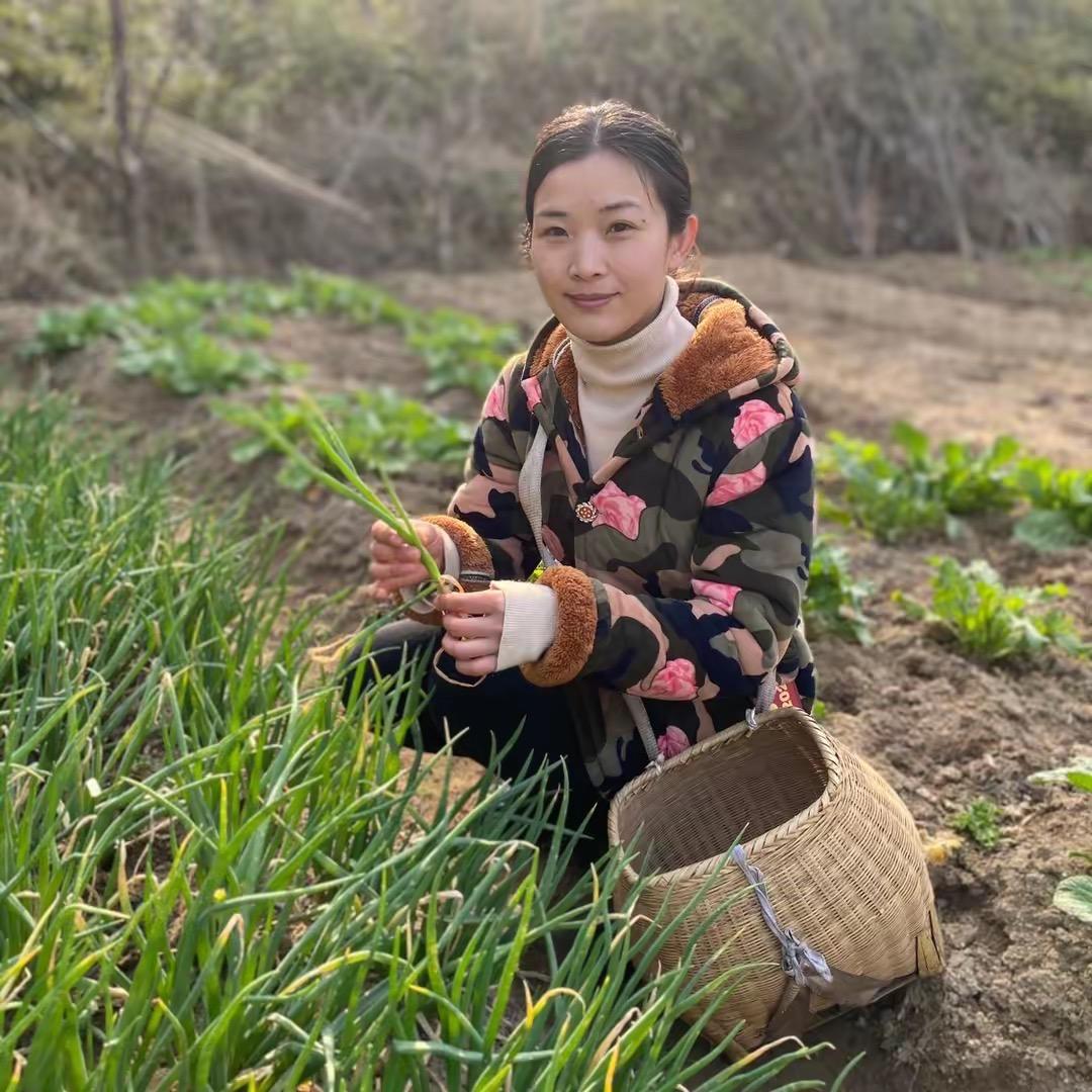 杨丽山货土特产