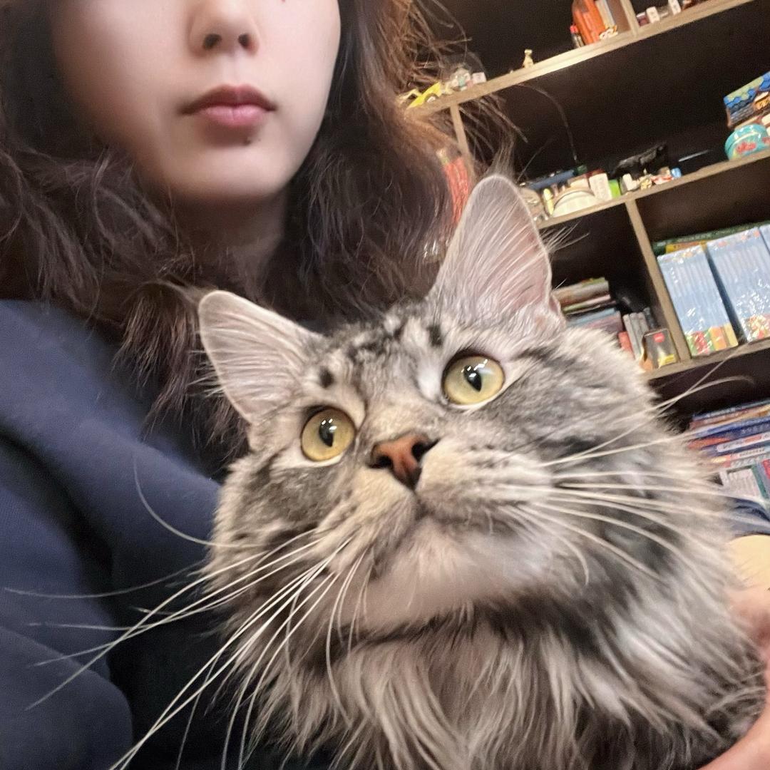 缅因不憨Lucas