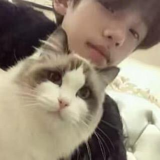 国产见到前女友