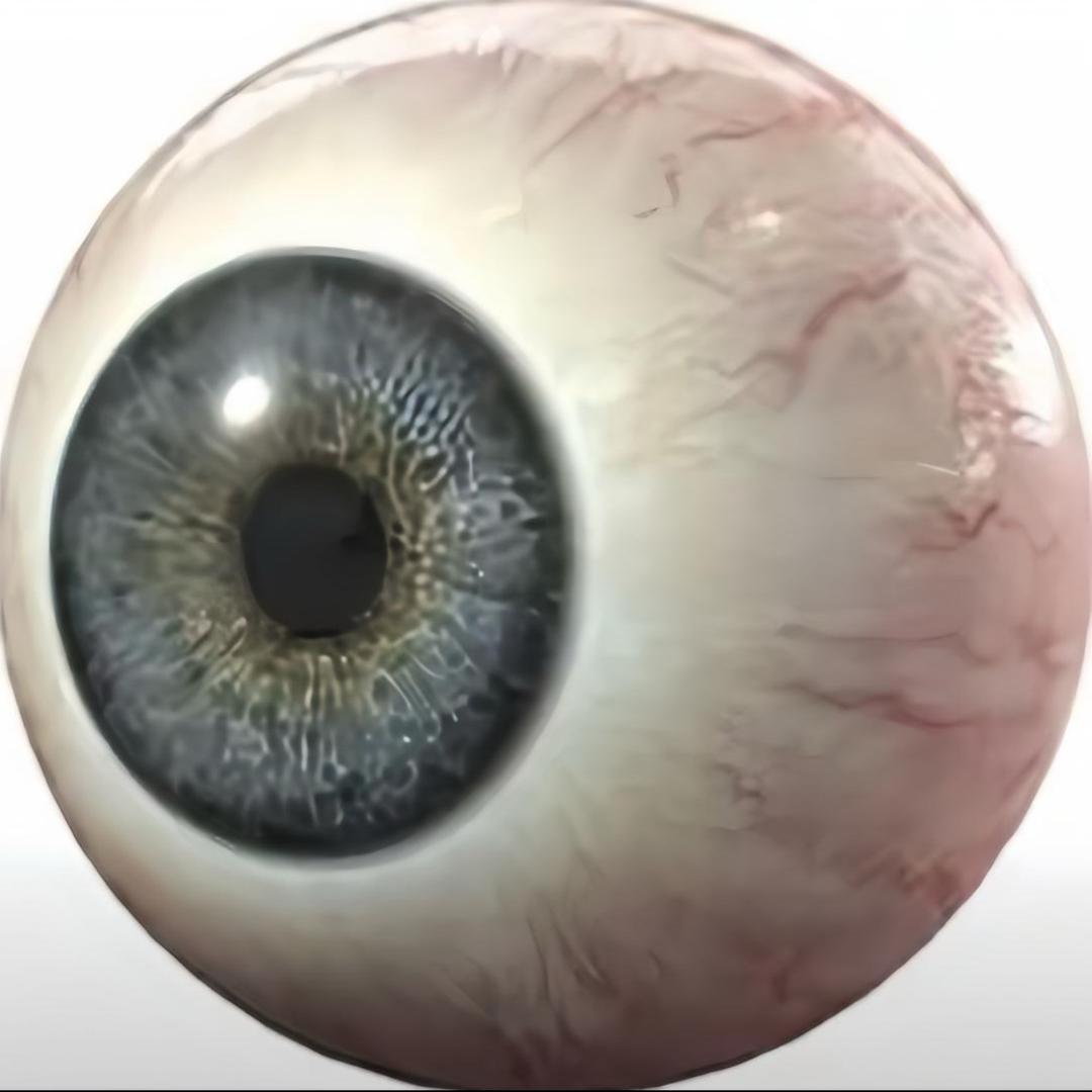 小飞宝