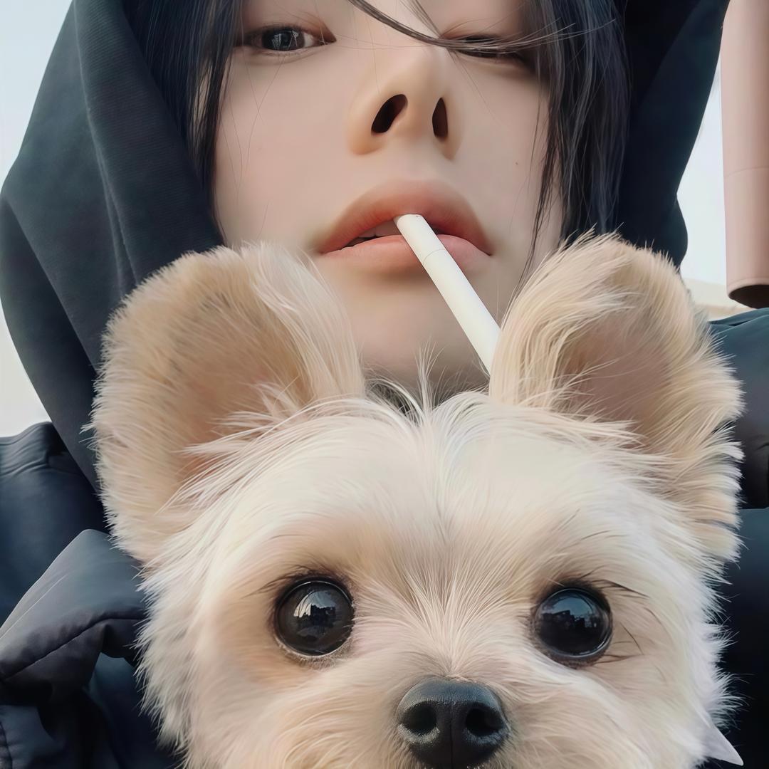 高等灵魂