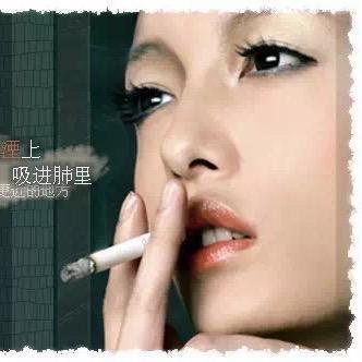 ❤️小蔡一碟❤️