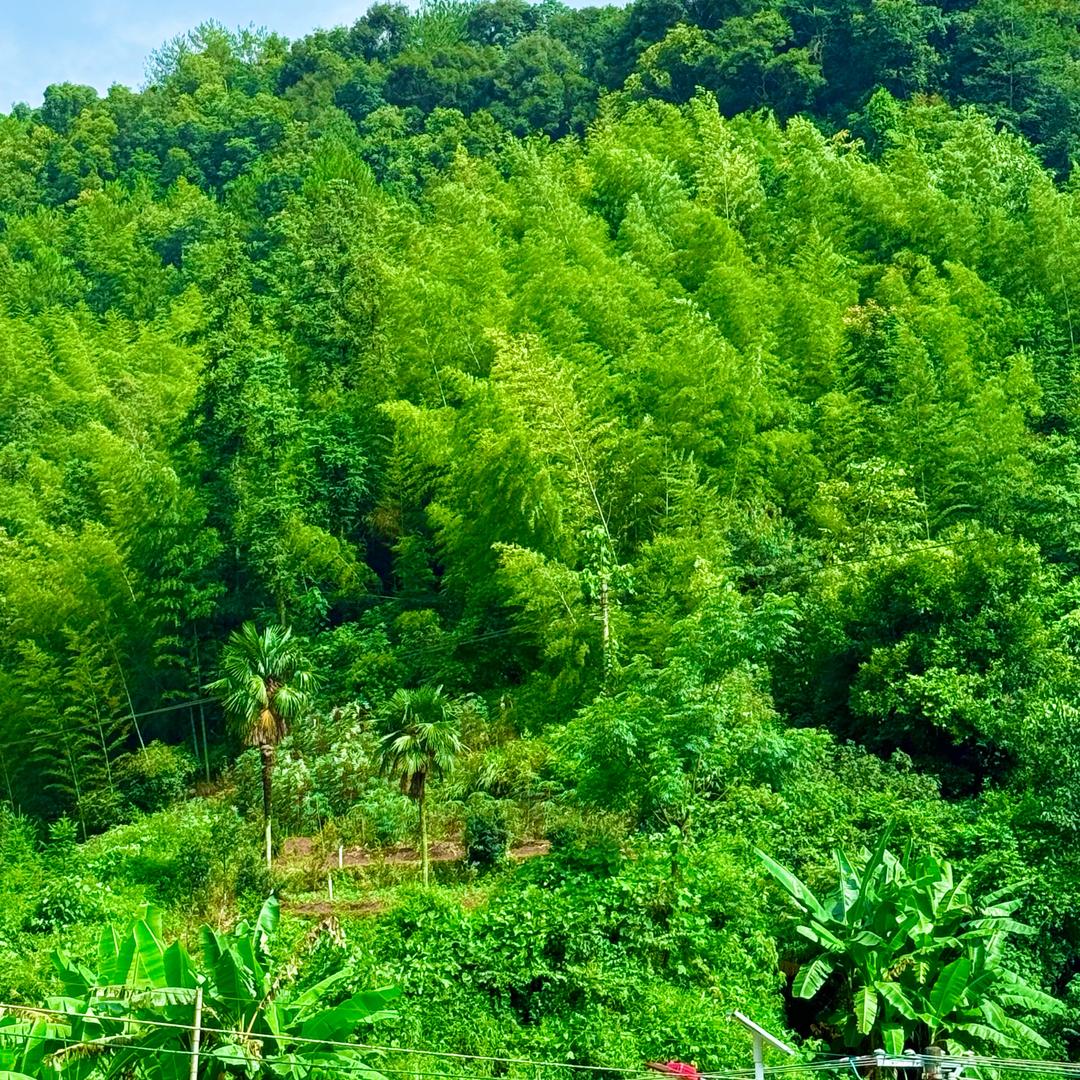 深井冰