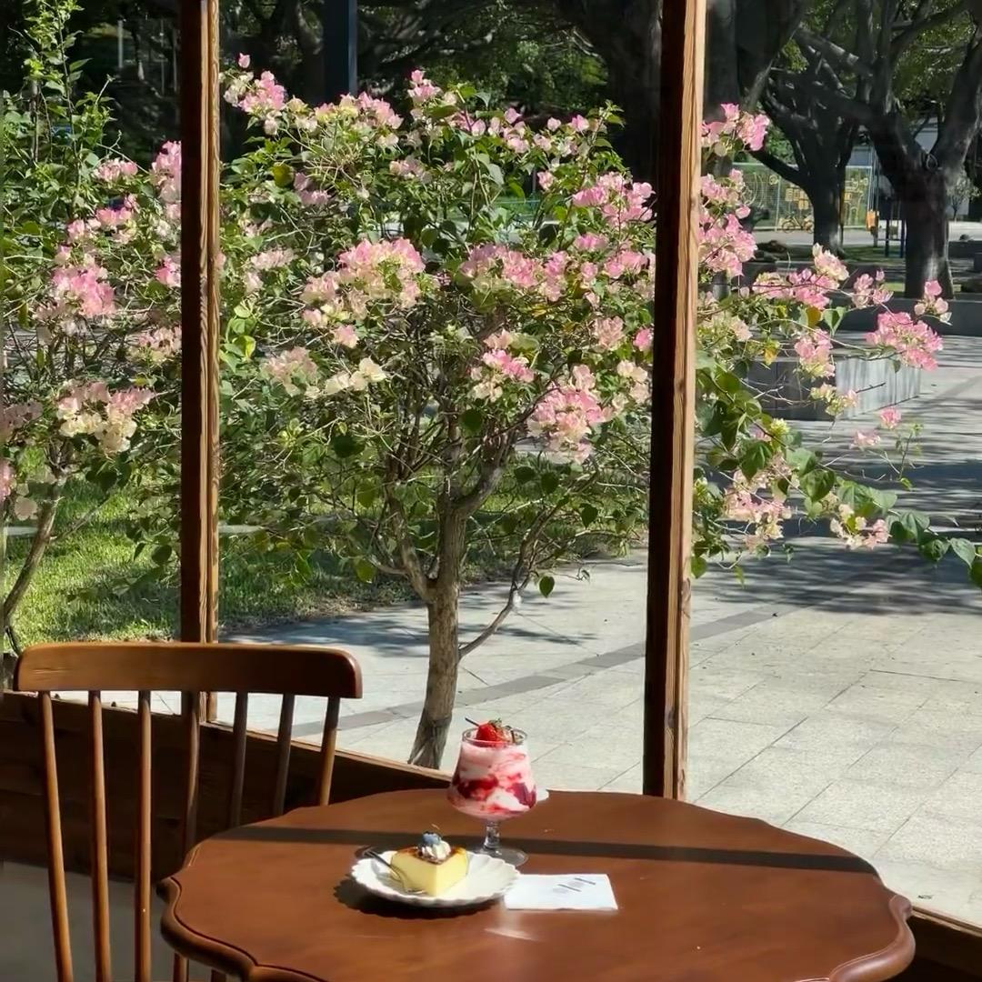 西红柿🍅🐰兔子