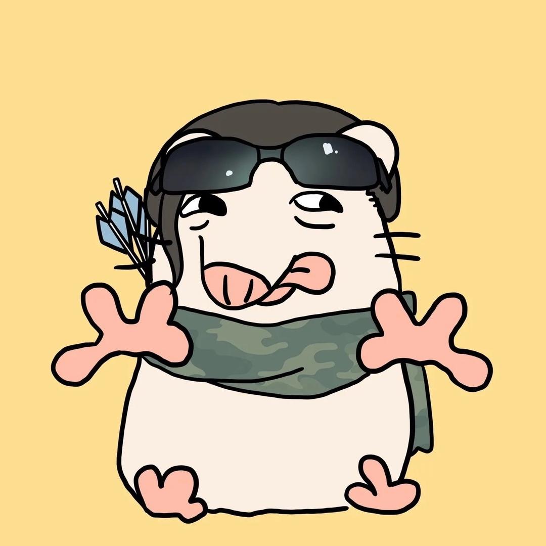 隆珑三角洲拆卡