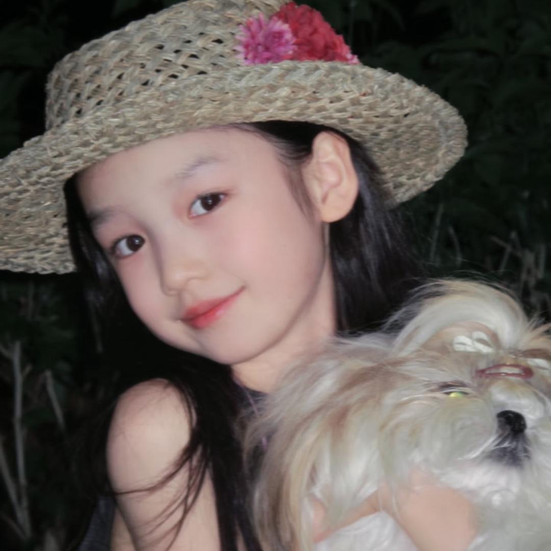 暮色芙蓉（手机壳版）