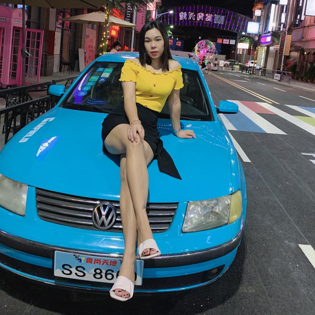 聪明的蠢蠢猪🐷