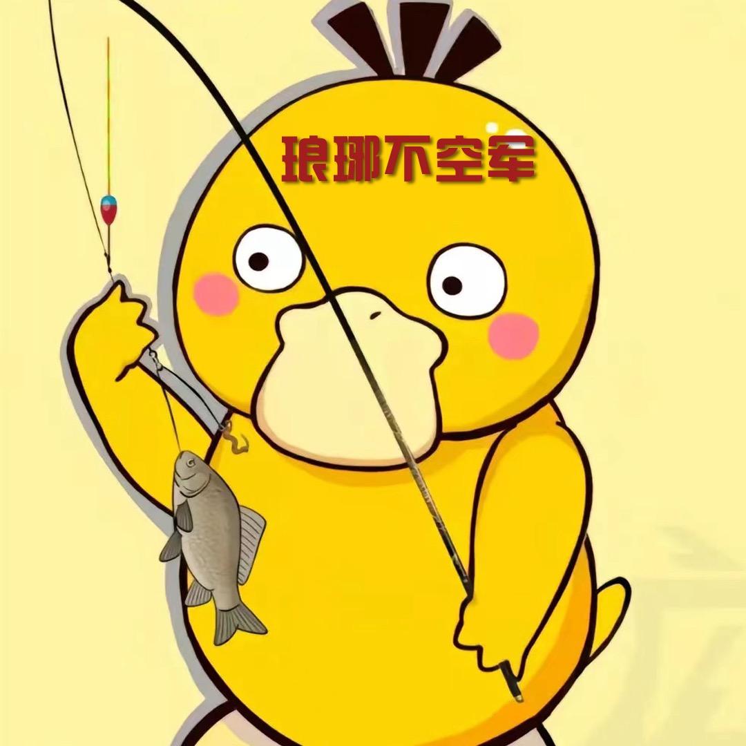 琅琊不空军